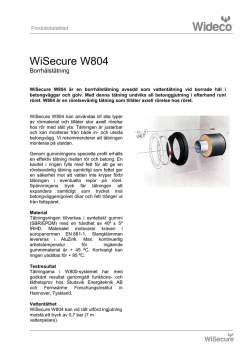 WiSecure W804