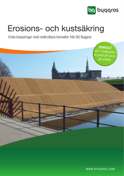 Erosions- og kystsikring
