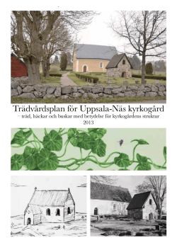 Trädvårdsplan för Uppsala-Näs kyrkogård