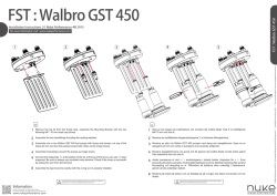 FST : Walbro GST 450