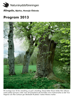 Program 2013