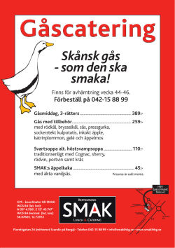 SMAK, gåsblad 2013 A4