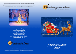 Julerbjudanden 2013.cdr