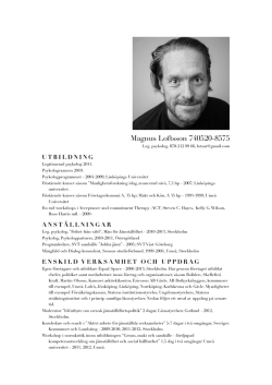 CV Magnus Loftsson