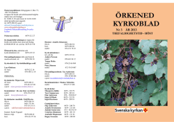 Kyrkoblad nr 3 2013 - Örkeneds Församling