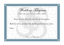 Wedding Telegram to Daina and Stefan