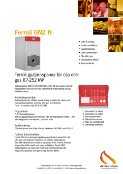 Ferroli GN2 N - Värmeprodukter