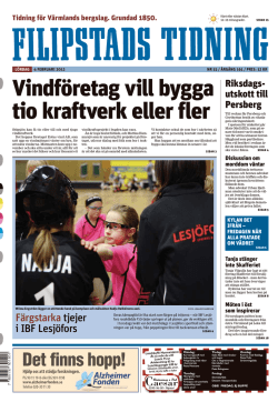 Vindf&ouml;retag vill bygga tio kraftverk eller fler