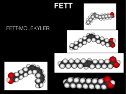 FETT-MOLEKYLER - Freinetskolan Bild & Form