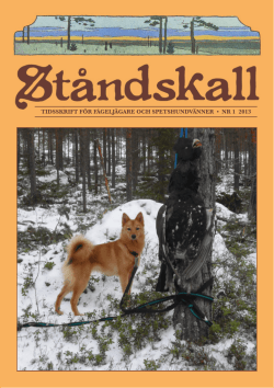 tidsskrift för fågeljägare och spetshundvänner • nr 1 2013