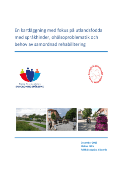En kartläggning med fokus på utlandsfödda med