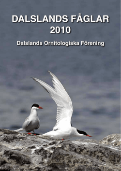 DALSLANDS FÅGLAR 2010 - Dalslands Ornitologiska Förening