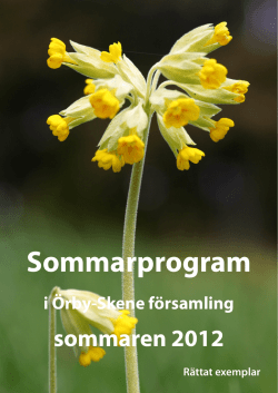 Sommarprogram - Örby