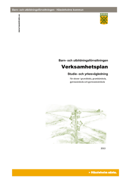 Verksamhetsplan SYV -13 Hässleholm.pdf