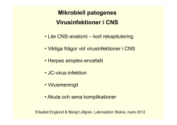 Viktiga frågor vid virusinfektioner i CNS