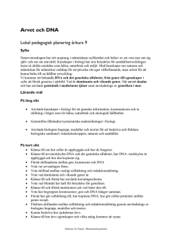 LPP Biologi åk 9 (193 kB, pdf)