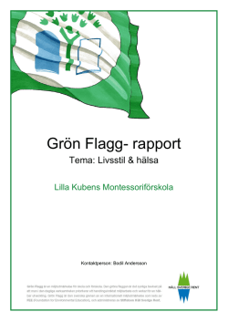 Grön Flagg- rapport