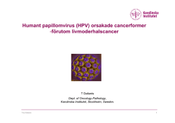 HPV - Cancerfonden