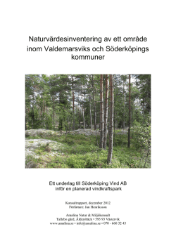 Naturvärdesinventering (PDF 7.2 MB)