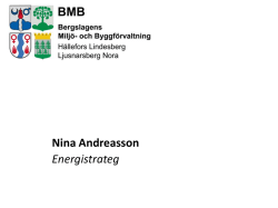 Nina Andreasson, Bergslagens Miljö