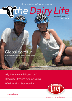 Global cykeltur