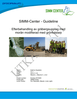 SIMM-Center - Guideline