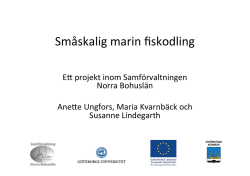 ProjektFiskodling presentation 140214.pptx