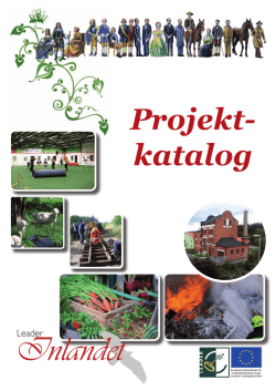 Beviljade projekt 2013