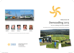 Välkommen till Demoodling 2013