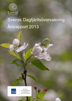 Årsrapport 2013 - Svensk Dagfjärilsövervakning