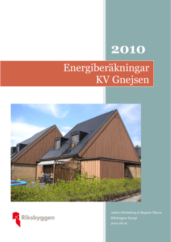 2010-08-16 Energiutredning