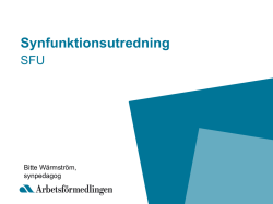 Synfunktionsutredning
