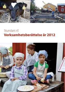 Stundars_verksamhetsberättelse 2012