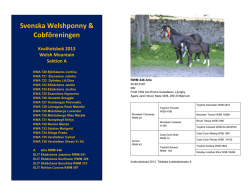2013 - Svenska Welshponny & Cobföreningen