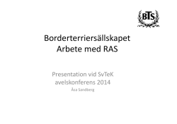 Borderterriersällskapet Arbete med RAS