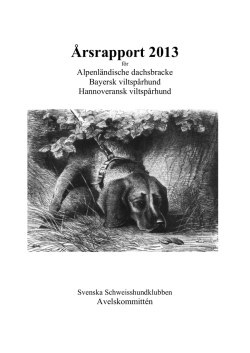 avelskommitténs årsrapport 2013