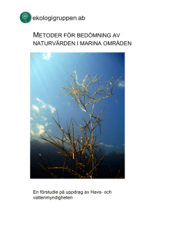 metoder för bedömning av naturvärden i marina områden