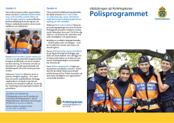 Polisprogrammet