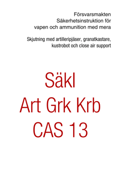 SäkI Art Grk Krb CAS 2013