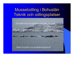 Musselodling i Bohuslän Teknik och odlingsplatser
