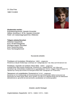 CV, Elsa Fries - Sveriges Talare