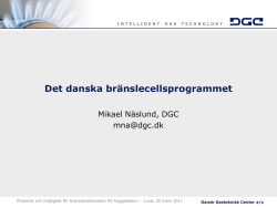 Det danska bränslecellsprogrammet