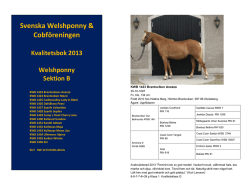 2013 - Svenska Welshponny & Cobföreningen