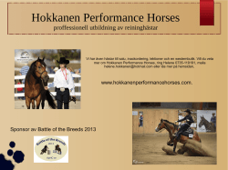 Hokkanen Performance Horses - ApHC-se