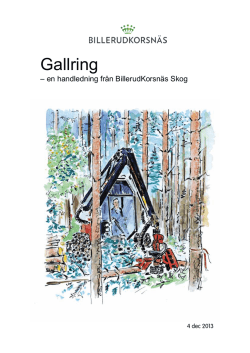 Gallring - Billerud AB