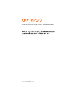 SEF, SICAV - Intacta Kapital