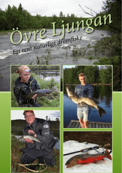 Ladda ner fiskekartan h&auml;r