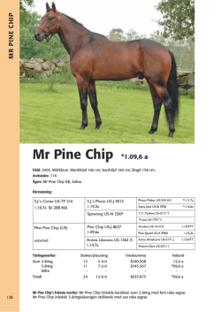 Mr Pine Chip *1.09,6 a
