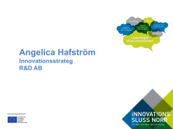 Angelica Hafström - Innovationssluss