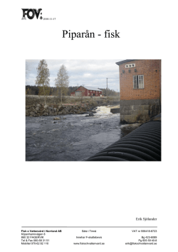 Piparån - fisk - Dalarnas Idrottsmuseum